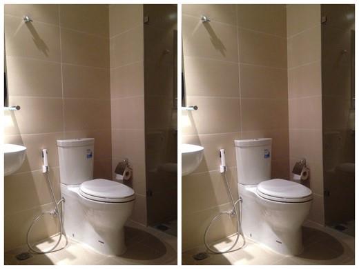 apartment for rent in Masteri Thao Dien  District 2 HCM D2141217 (8)